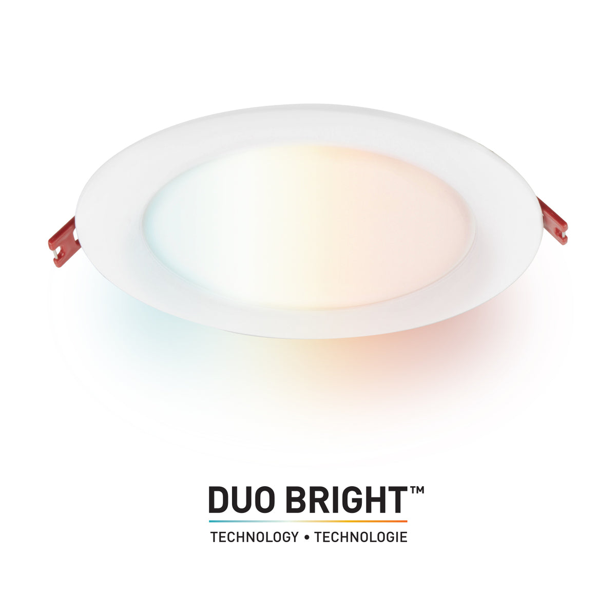 91675_Main Image.jpg