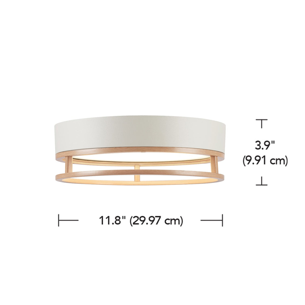 66000038_Dimensions.jpg