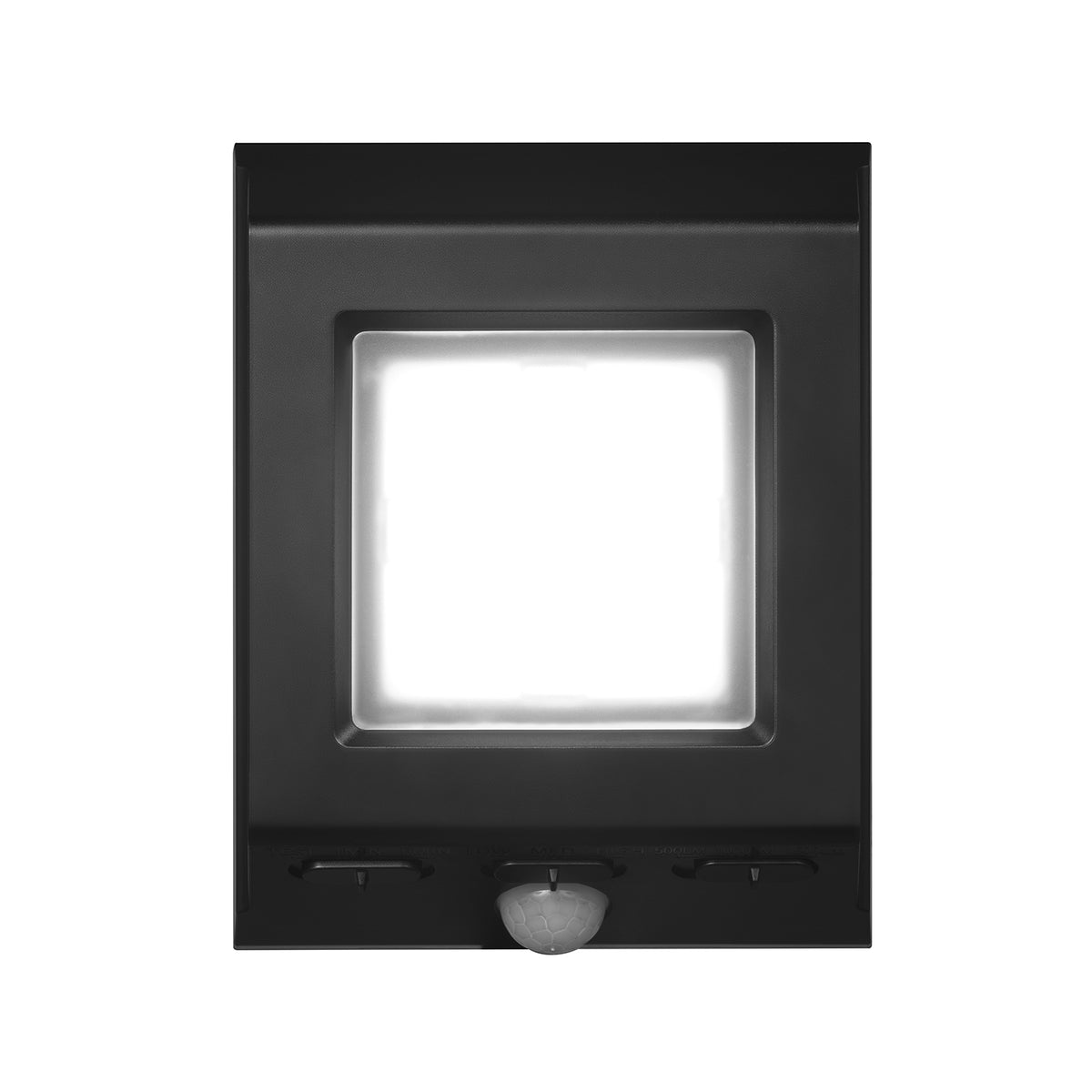 17000199_Main.jpg
