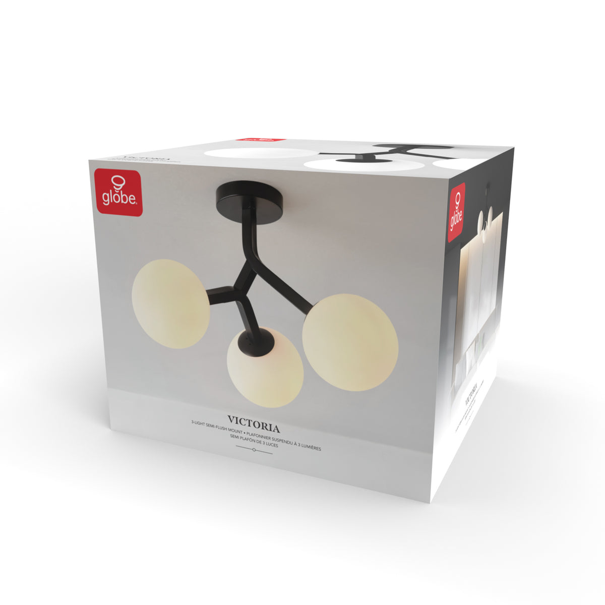 66000084_Packaging.jpg