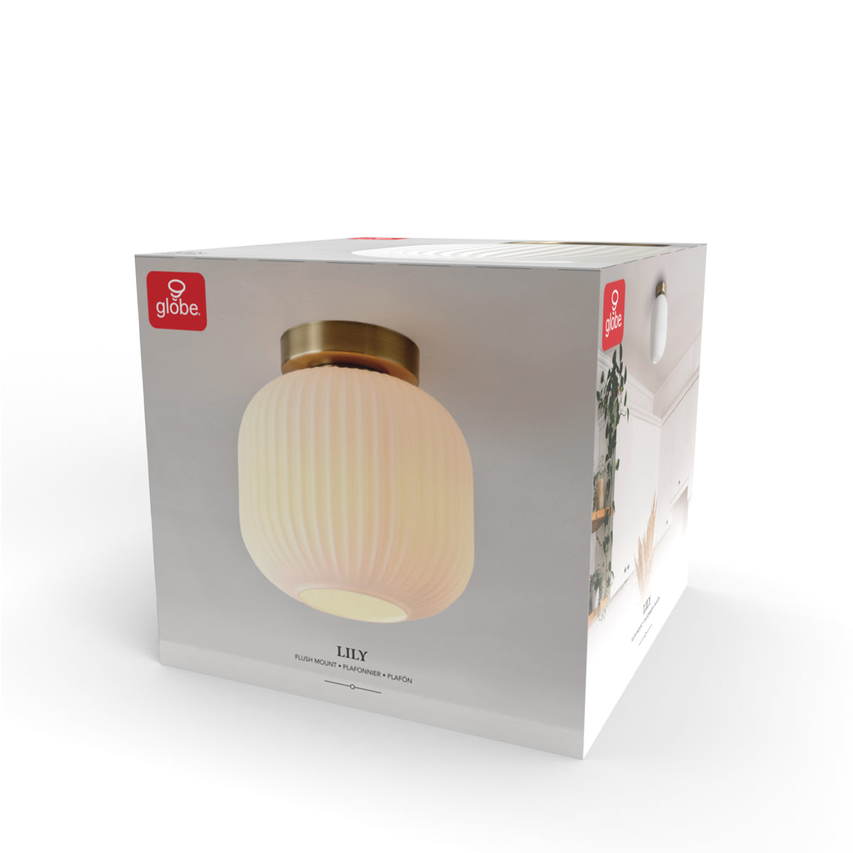 66000079_Packaging.jpg
