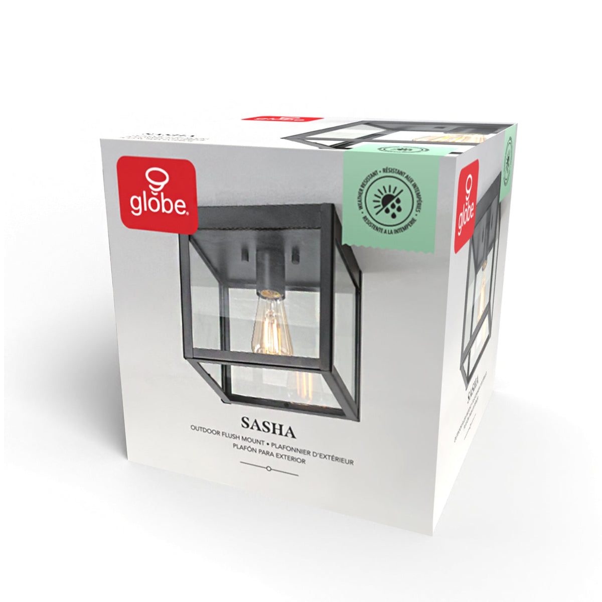 60000020_Packaging.jpg